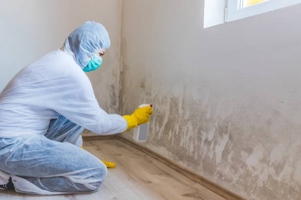 Best Crawl Space Mold Removal  in Loudonville, OH